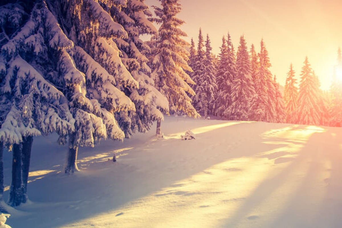 Sonne im Winter