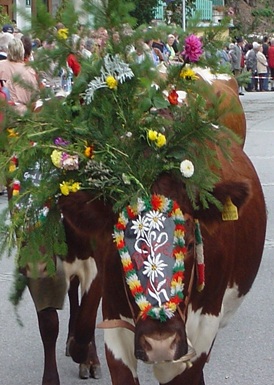 Veranstaltungen 