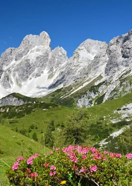 Bischofsmütze und Almgebiet Filzmoos, Salzburger Land